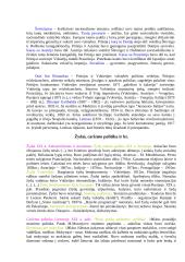 Bolševikai Lietuvoje 6 puslapis