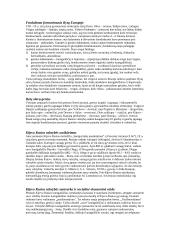 Kijevo Rusios valstybė 2 puslapis