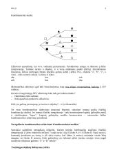 Diskrečioji matematika - kombinatorika 3 puslapis