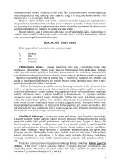 Komercinė teisė trumpai 4 puslapis