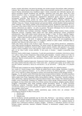 Komercinės teisės pagrindų teorija 7 puslapis