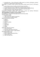 Komunikacinio elgesio apibūdinimas 12 puslapis