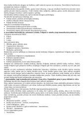 Komunikacinio elgesio apibūdinimas 3 puslapis