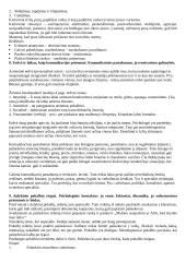 Komunikacinio elgesio apibūdinimas 4 puslapis