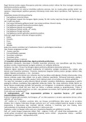 Komunikacinio elgesio apibūdinimas 6 puslapis