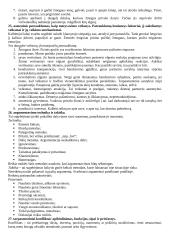 Komunikacinio elgesio apibūdinimas 10 puslapis