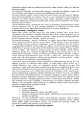 Krikščionybės istorija 12 puslapis