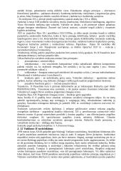 Krikščionybės istorija 20 puslapis