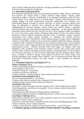 Krikščionybės istorija 4 puslapis