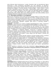 Krikščionybės istorija 10 puslapis