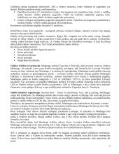 Krikščionybės istorija Lietuvoje 2 puslapis