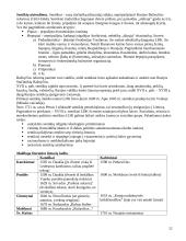 Krikščionybės istorija Lietuvoje 12 puslapis