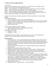 Krikščionybės istorija Lietuvoje 13 puslapis