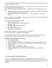 Krikščionybės istorija Lietuvoje 19 puslapis