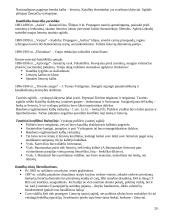 Krikščionybės istorija Lietuvoje 20 puslapis