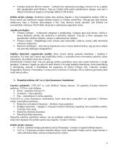 Krikščionybės istorija Lietuvoje 4 puslapis