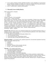 Krikščionybės istorija Lietuvoje 5 puslapis