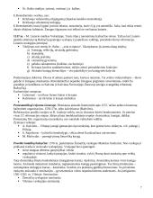 Krikščionybės istorija Lietuvoje 7 puslapis