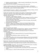 Krikščionybės istorija Lietuvoje 8 puslapis