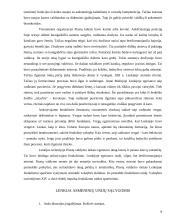 Išsami Lenkijos istorija 8 puslapis