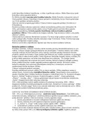 Lietuvos kultūros raida iki 1863 metų 3 puslapis