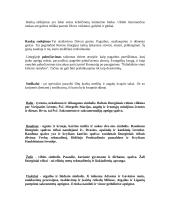 Liturgija 4 puslapis