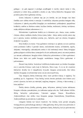 Liturgija ir Krikščionybė 8 puslapis