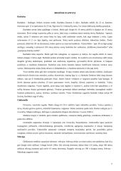 Medžiai ir jų mediena 7 puslapis