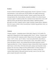 Medžiai ir jų mediena 9 puslapis