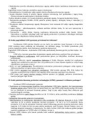 Mobilios komunikacinės technologijos 20 puslapis