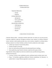 Mokslinis ir kasdieninis žinojimas. Pažinimo procesas 11 puslapis
