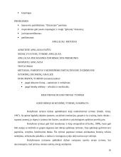 Mokslinis ir kasdieninis žinojimas. Pažinimo procesas 15 puslapis