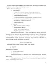 Mokslinis ir kasdieninis žinojimas. Pažinimo procesas 4 puslapis