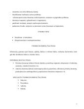 Mokslinis ir kasdieninis žinojimas. Pažinimo procesas 6 puslapis