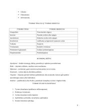 Mokslinis ir kasdieninis žinojimas. Pažinimo procesas 7 puslapis