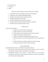 Mokslinis ir kasdieninis žinojimas. Pažinimo procesas 8 puslapis