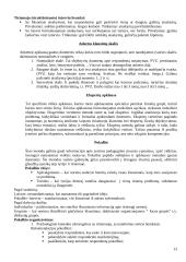 Mokslinių tyrimų metodai 13 puslapis