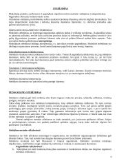 Mokslinių tyrimų metodai 4 puslapis