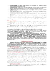Paauglio psichologija 3 puslapis