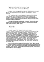 Pavojingi atmosferos reiškiniai 2 puslapis