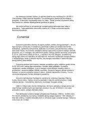 Pavojingi atmosferos reiškiniai 4 puslapis