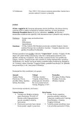 Pirmasis pasaulinis karas ir jo padariniai 4 puslapis