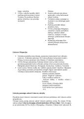 Pirmasis pasaulinis karas ir jo padariniai 5 puslapis