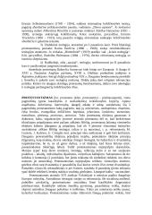 Protestantai 2 puslapis