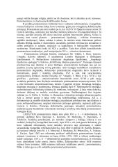Protestantai 3 puslapis