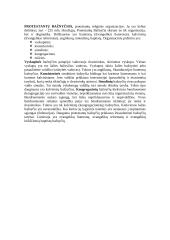 Protestantai 4 puslapis
