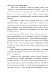 Raidos psichologijos pagrindinės temos 11 puslapis