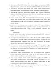 Rangos sutarties požymiai ir dalykas 5 puslapis