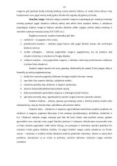 Rangos sutarties požymiai ir dalykas 10 puslapis