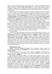 Romėniškasis Heleninės civilizacijos  laikotarpis 13 puslapis